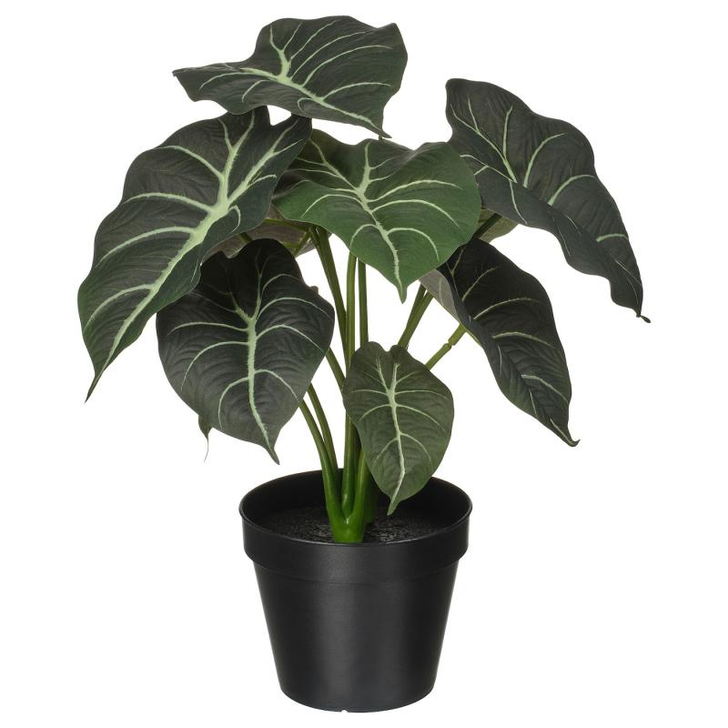 FEJKA フェイカ 人工観葉植物 - 室内/屋外用 アロカシア 12 cm
