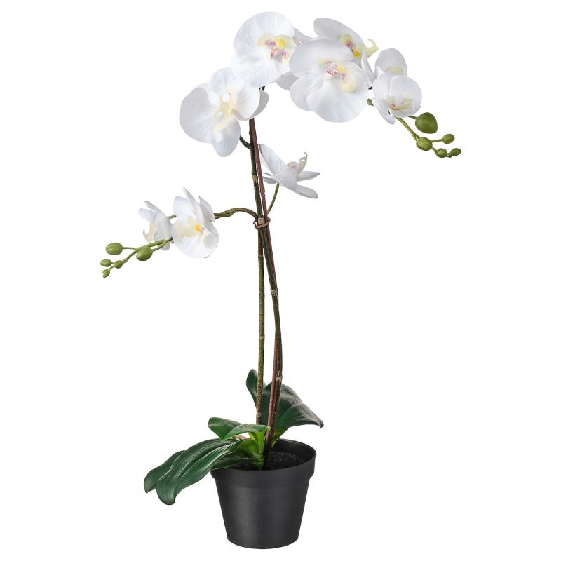 FEJKA フェイカ 人工観葉植物 - Orchid ホワイト 12 cm