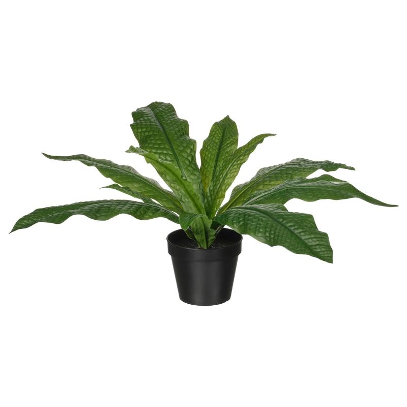 FEJKA フェイカ 人工観葉植物 - 室内/屋外用 クロコダイルファーン 12 cm
