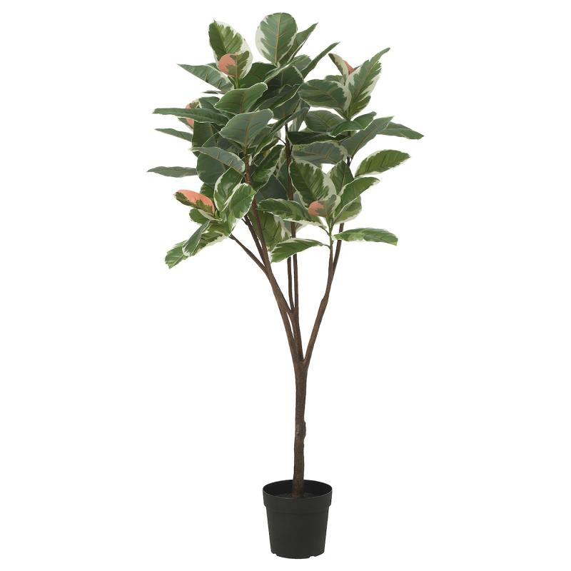 FEJKA フェイカ 人工観葉植物 - 室内/屋外用 Rubber plant 23 cm