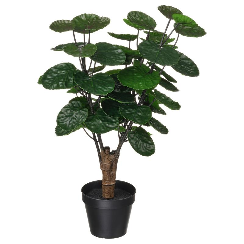 FEJKA フェイカ 人工観葉植物 - 室内/屋外用 アラリア 12 cm