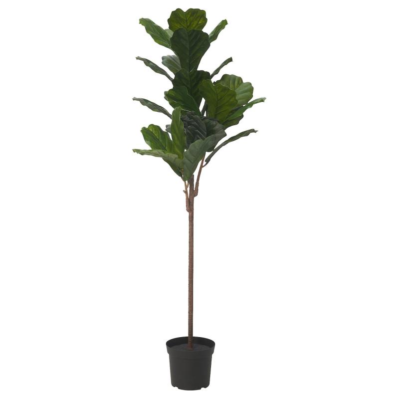 FEJKA フェイカ 人工観葉植物 - 室内/屋外用 fiddle-leaf fig 19 cm